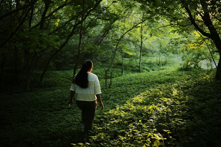 A woman walking a green woodland trail